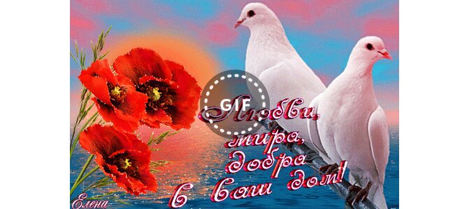 Галерея поздравлений Галерея поздравлений