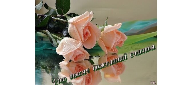 Галерея поздравлений Галерея поздравлений