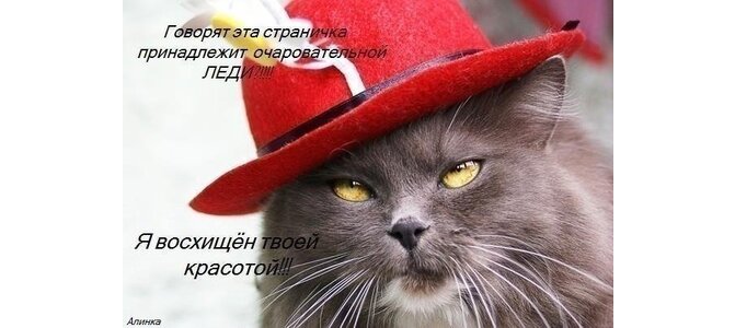 Говорящий открытки 100