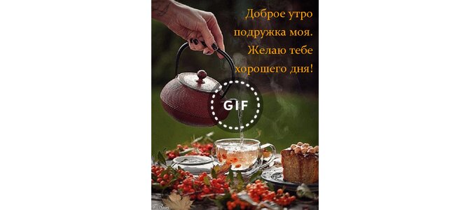 Про жириновского, открытка доброе утро подружка моя
