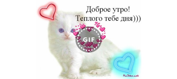Сентября, открытка доброе утро котенок любимый
