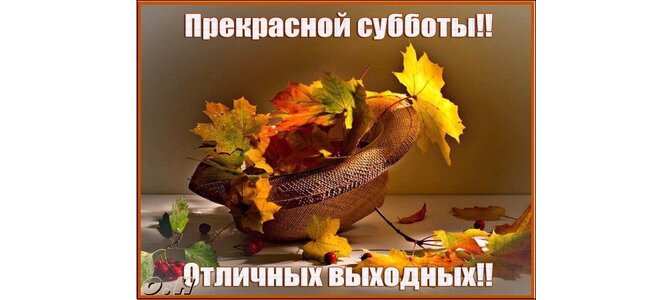 Картинки Прекрасной Осенней Субботы Цветы