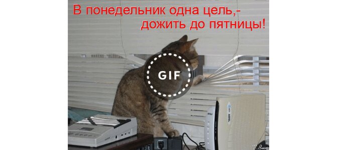 Мадагаскар картинки, открытки до пятницы осталось