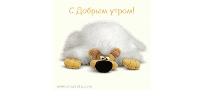 Доброе утро золотце открытка