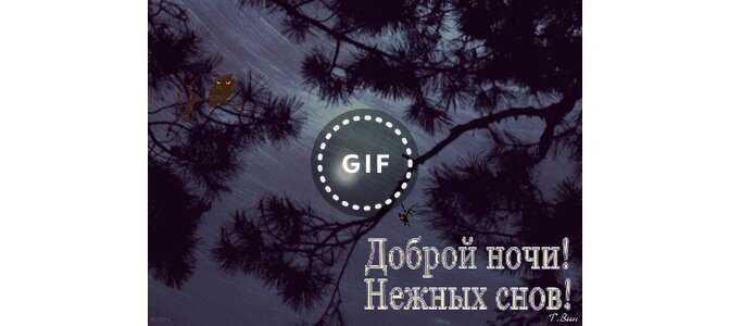 Тик ток спокойной ночи картинки