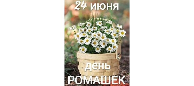 С Днем Ромашек Поздравления Картинки Красивые