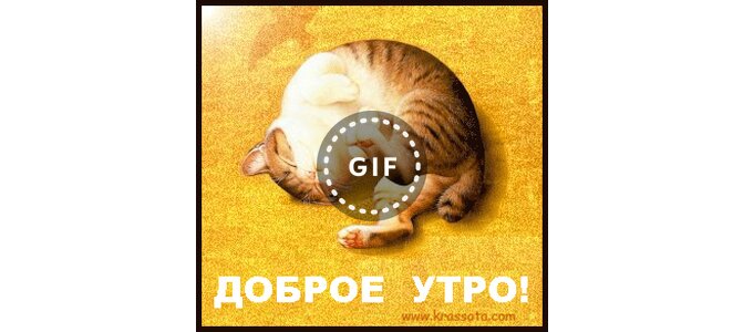 Смешная картинка хватит спать, прикольные