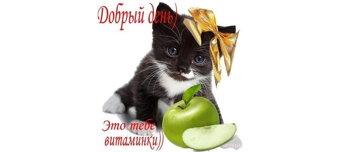 Открытки это тебе витаминки, летие девушке
