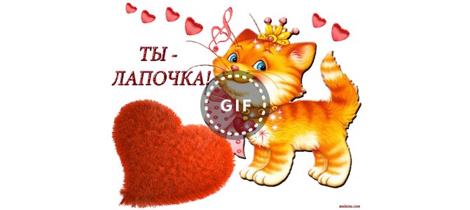 Такой лапочка открытки