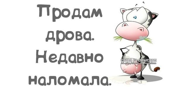 Открытки прикольные со смыслом на каждый день в хорошем качестве
