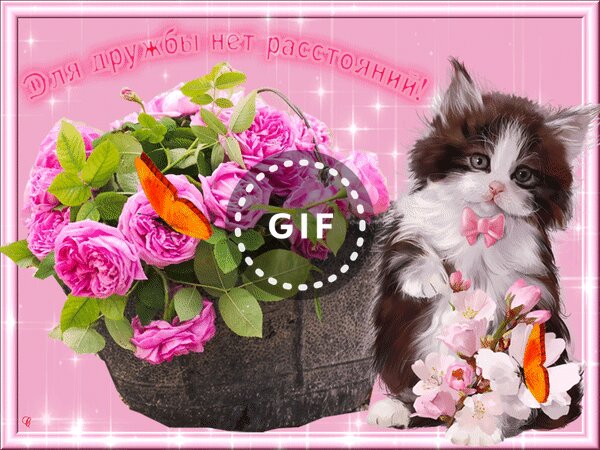 ������, �������� ��� ������ ��� ����������