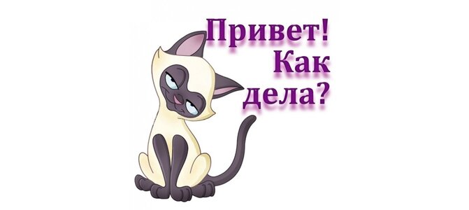 Прикольные картинки, открытки для беременной привет как дела