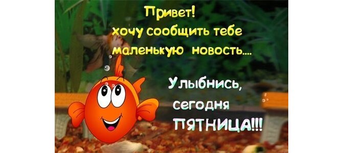 Прикольные открытки здравствуй пятница