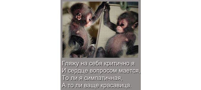 Прикольные обезьяны картинки про работу с надписями про работу, создать