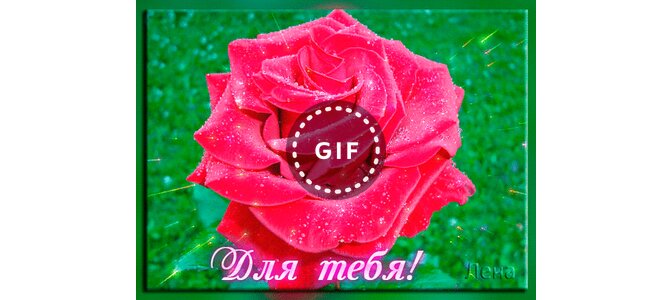 Открытки оле просто так, меня потерял