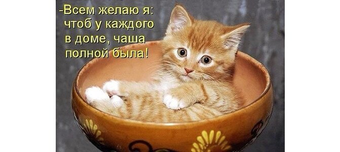 Желаю полную чашу в дом. Желаю полную чашу в дом